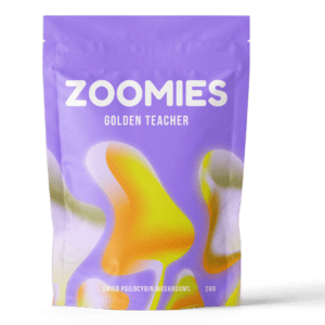 Golden Teacher | Shroom Delivery Toronto Canada