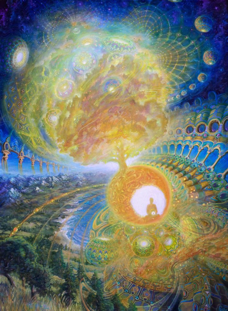 Zoomies best shrooms The Biochemistry of Microdosing
