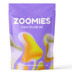Texas Yellow Cap | Shroom Delivery Toronto Canada