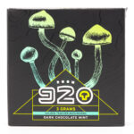 Room 920 - Mushroom Chocolate Bar - Dark Chocolate Mint - 3 grams | Shroom Delivery Toronto Canada