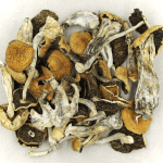 Full Moon Party | Shroom Delivery Toronto Canada