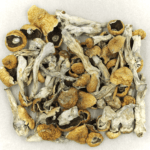 Orissa | Shroom Delivery Toronto Canada