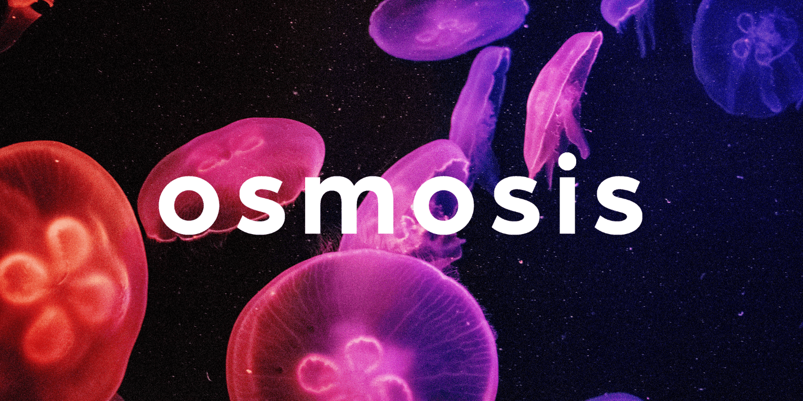 Zoomies osmosis banner | Shroom Delivery Toronto Canada