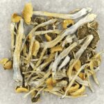 Trinity | Shroom Delivery Toronto Canada
