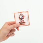 Wonder – Psilocybin Chocolate Bar – Blood Orange | Shroom Delivery Toronto Canada