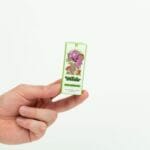 Wonder – Psilocybin Chocolate Bar – Dark Chocolate | Shroom Delivery Toronto Canada