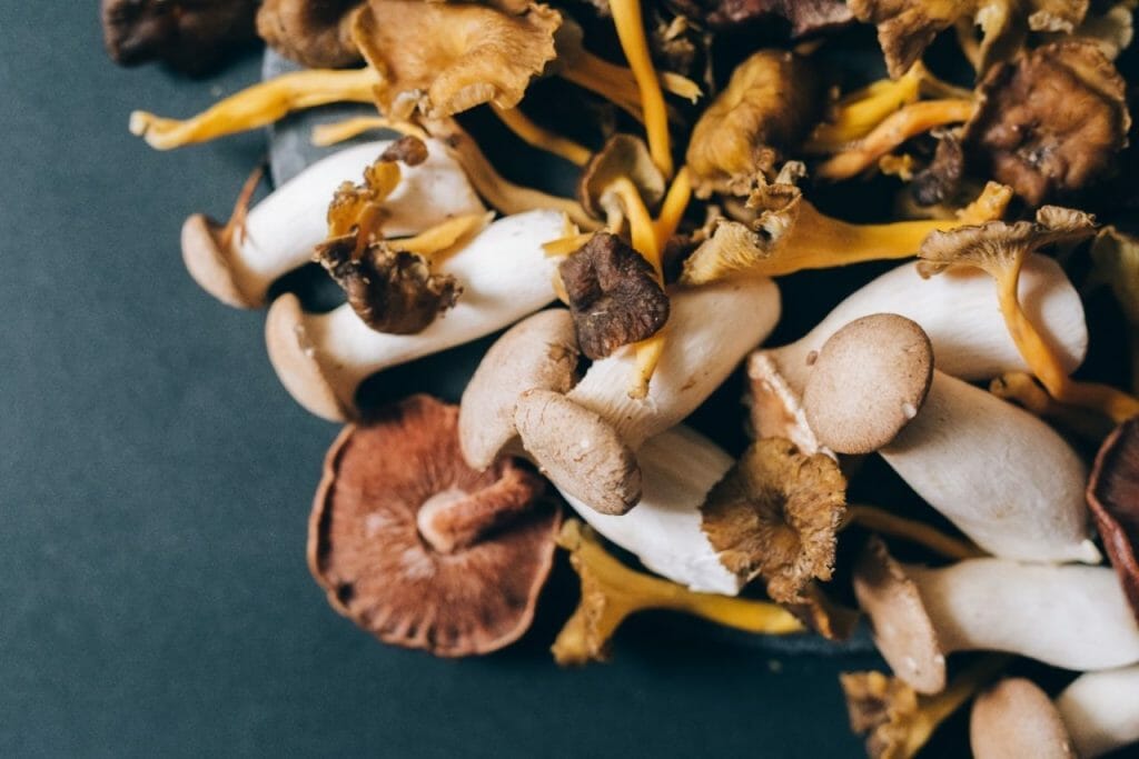 How Can Mushrooms Enhance Your Health? Health benefits of mushrooms