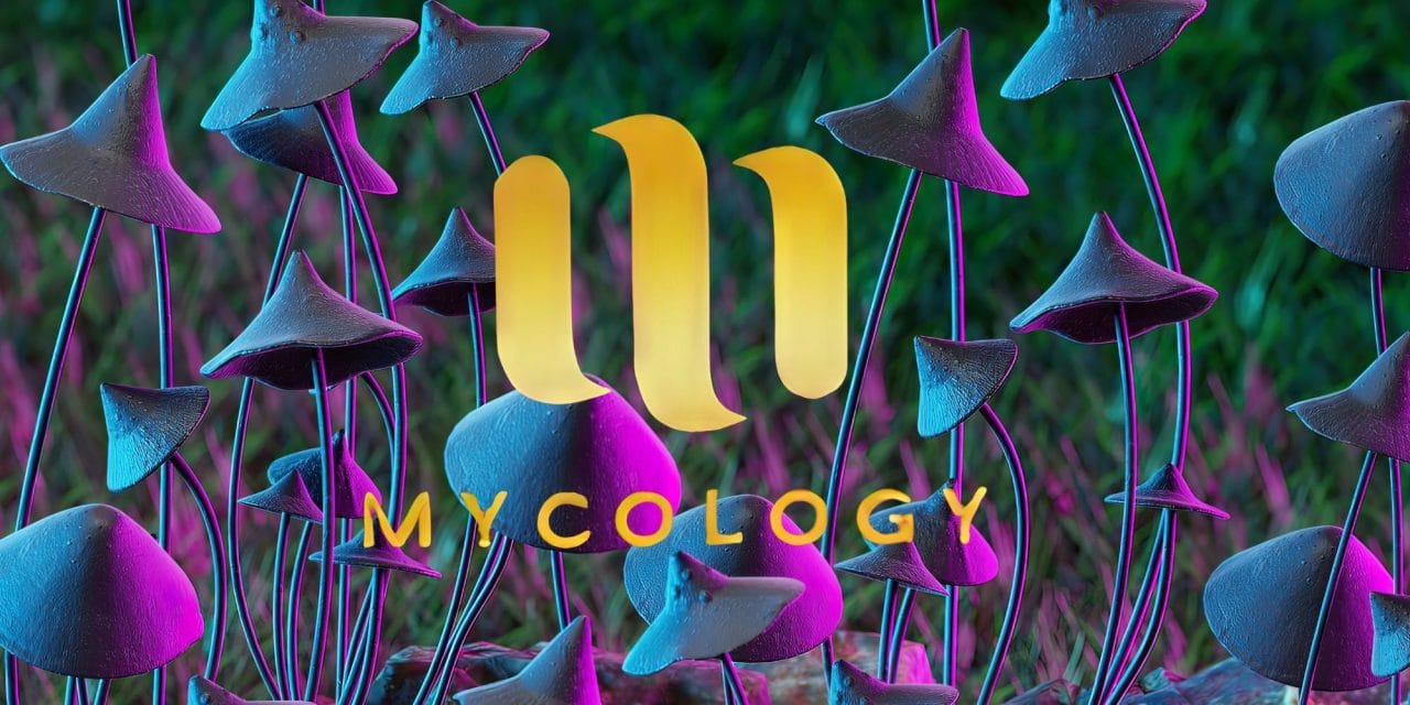 Zoomies Summer 2023 Banner - Mycology | Shroom Delivery Toronto Canada
