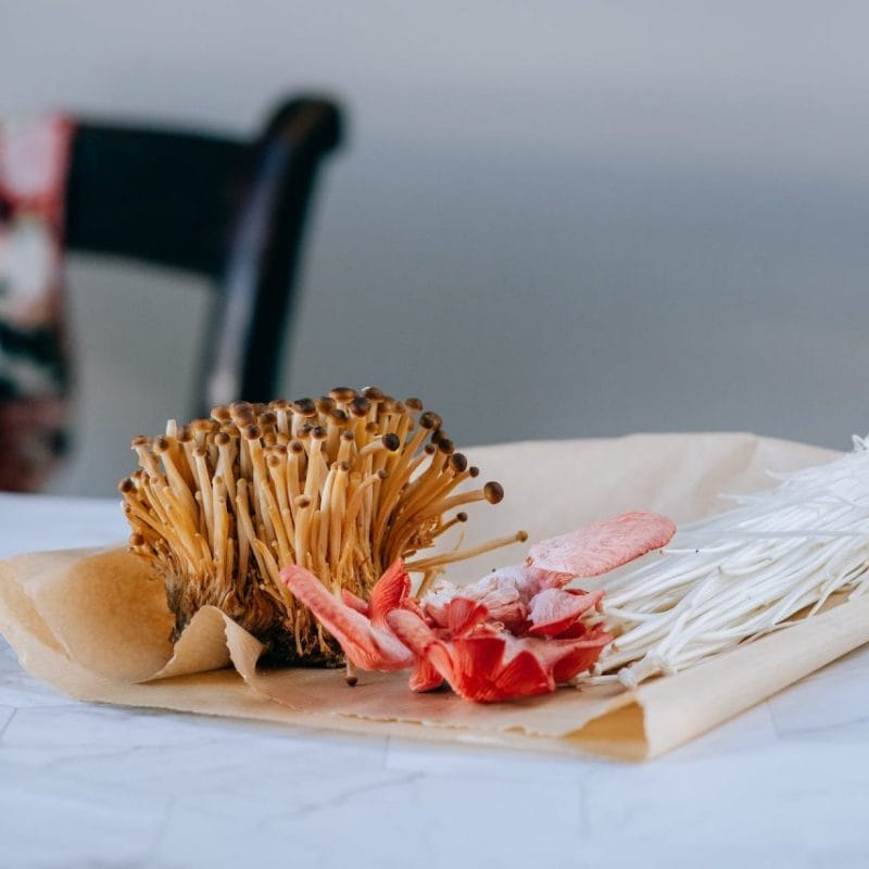 Buy Shrooms Online Canada (1) | Shroom Delivery Toronto Canada