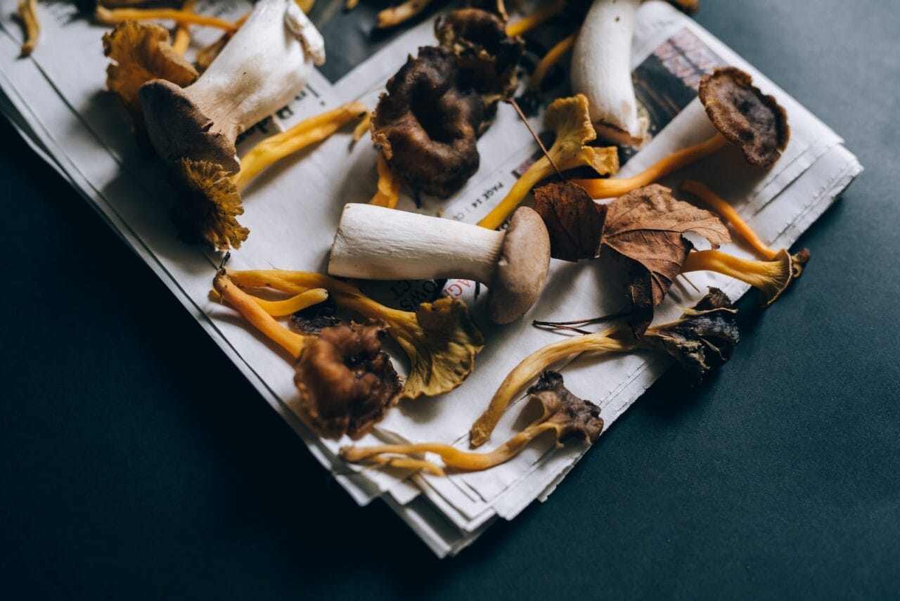Are Mushrooms and Chocolate a Good Combination?