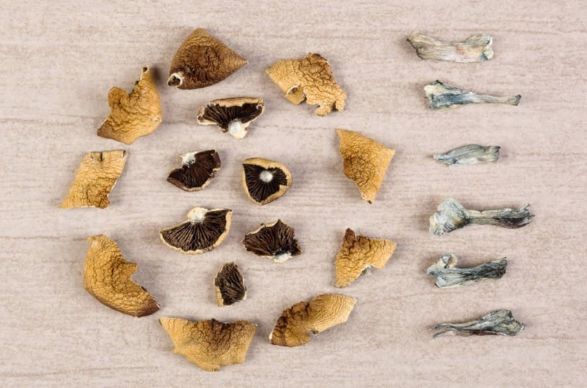 The Unexpected Link Between Psychedelics and Enhanced Sex Magic mushroom Canada